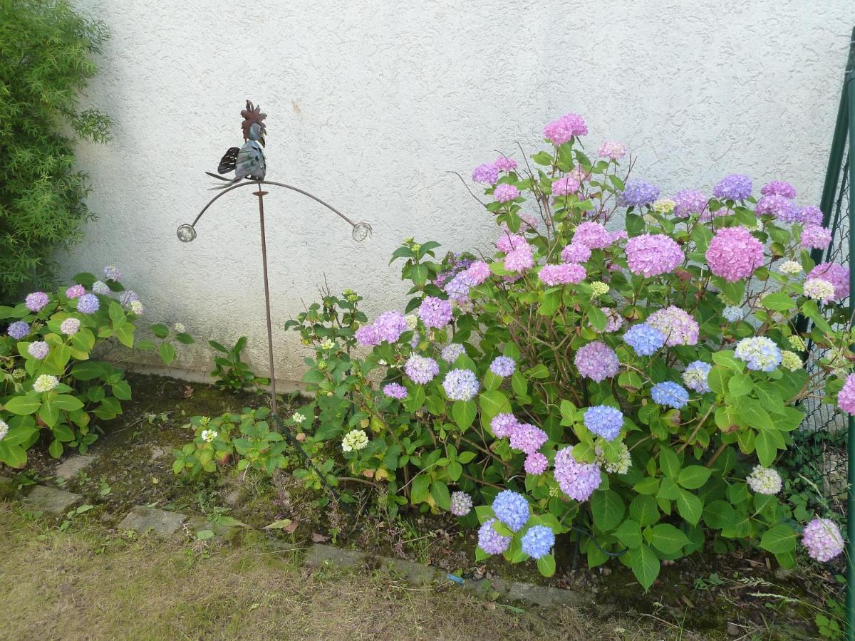 Garteneckchen Emmendingen Zewnętrze zdjęcie