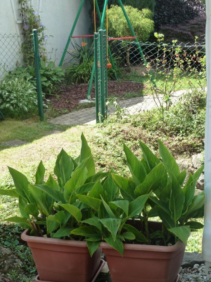 Garteneckchen Emmendingen Zewnętrze zdjęcie