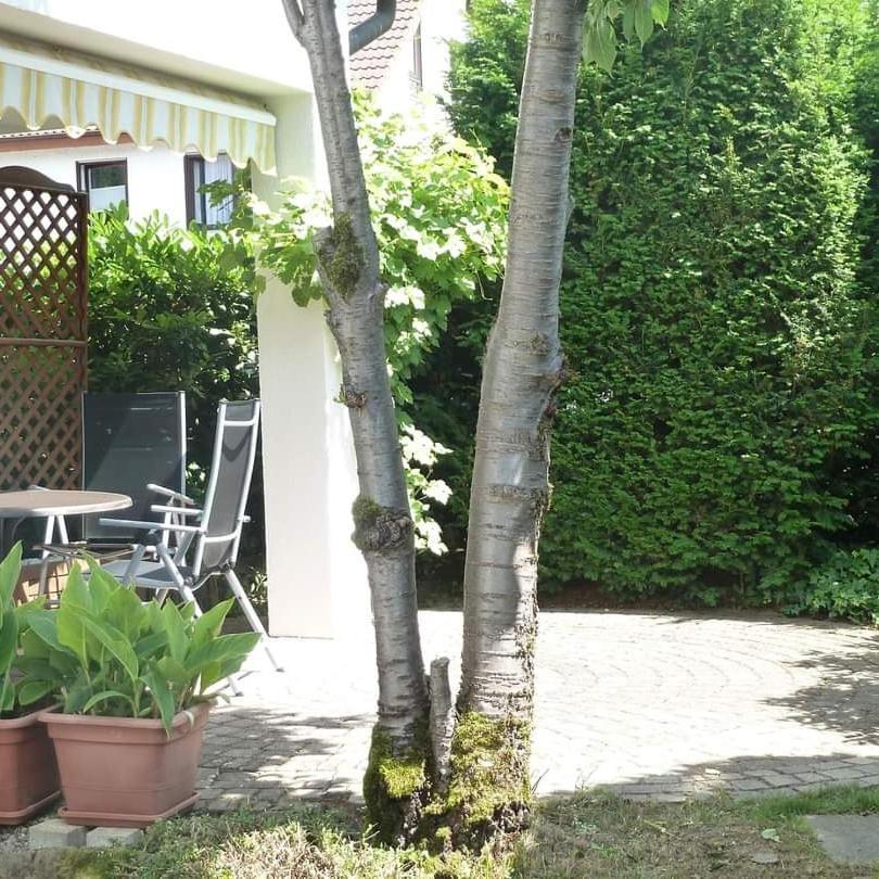 Garteneckchen Emmendingen Zewnętrze zdjęcie
